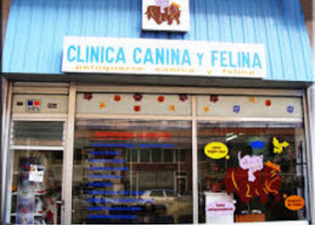 Clínica Veterinaria Canina y Felina