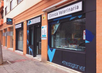 THE DOGTOR CLINICA VETERINARIA