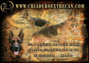 Criadero Extrecan