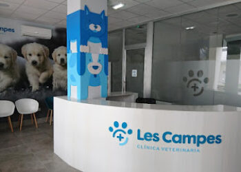 Clínica Veterinaria Les Campes