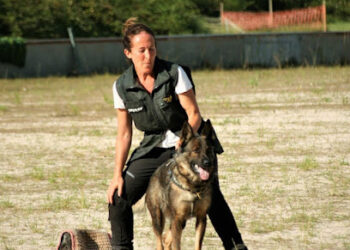 Residencia Canina CísterCan | Adiestramiento canino