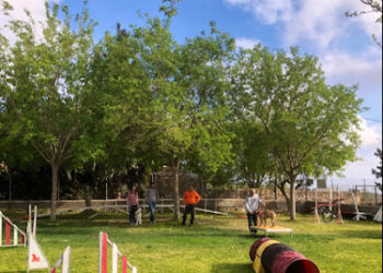 Residència Canina CanPenedès