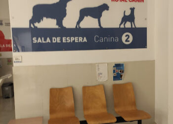 Universidad de Zaragoza: Hospital Veterinario