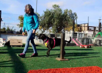 ESPAICAN Centro Canino Valencia