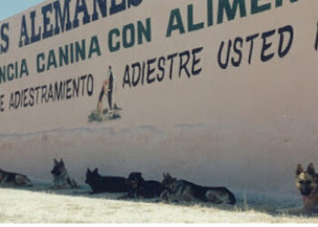 ESCUELA DE ADIESTRAMIENTO GARAL