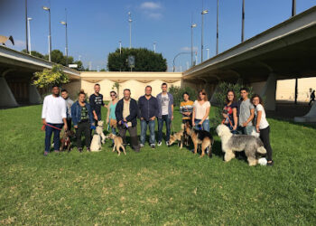 Mimomimascota del educador canino Nacho Roca