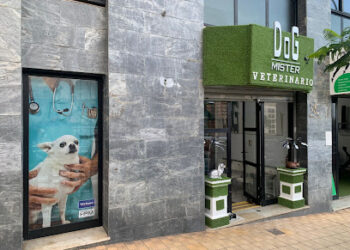 Clínica Veterinaria Mr. Dog