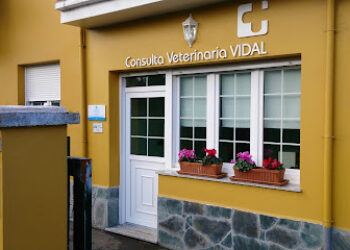 Consulta Veterinaria Vidal