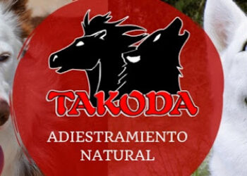 Takoda Adiestramiento Natural