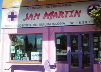 Clínica Veterinaria San Martín