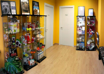 Animaletos – Centro de Etología Veterinaria