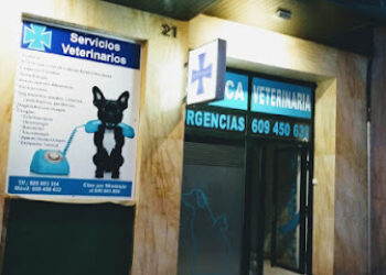 Clínica Veterinaria ADARVI