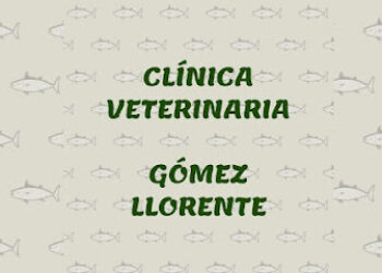 Clínica Veterinaria Gómez Llorente