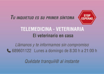 Telemedicina Veterinaria . La Zubia