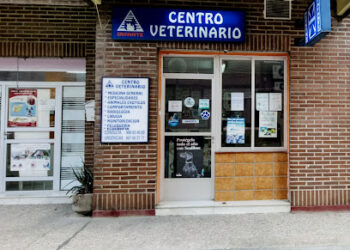 Centro Veterinario Infante