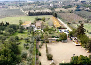 Tres Pirañas Educación y Residencia Canina