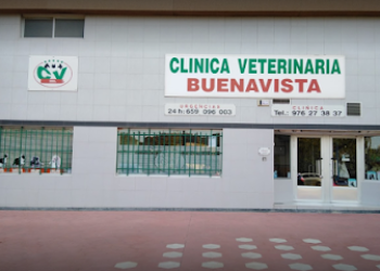 Clinica Veterinaria Buenavista
