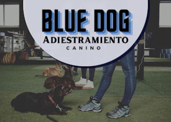 BlueDog Adiestramiento Canino Sevilla