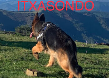 ITXASONDO centro canino