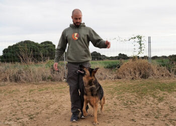 Victor Torres Educador Canino | Adiestrador Canino Tarragona