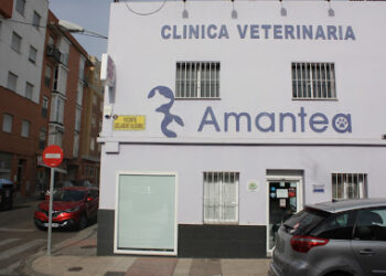 Clínica Veterinaria Amantea