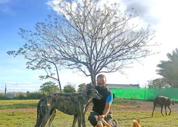 Residencia canina Villa Happy Dogs