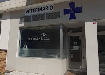 Centro Veterinario Pelosín