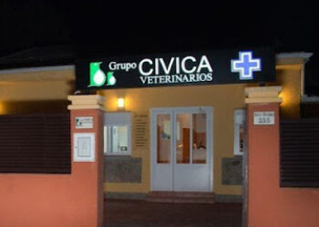 Grupo Cívica Veterinarios