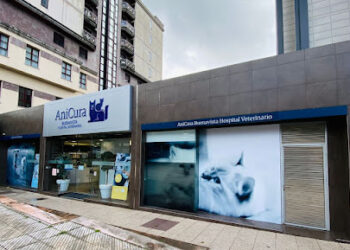 AniCura Buenavista Hospital Veterinario