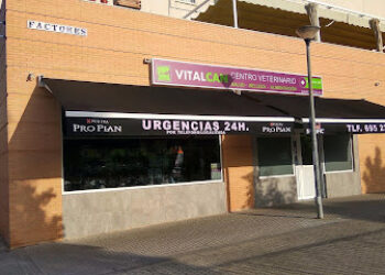 Vitalcan Centro Veterinario Urgencias 24h