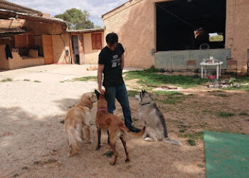 Centre educacio canina Amorgos