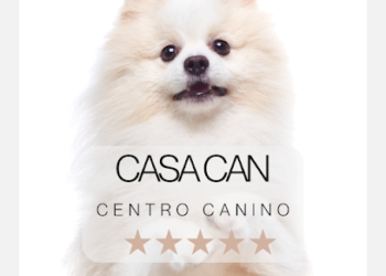 Casa Can Centro Canino