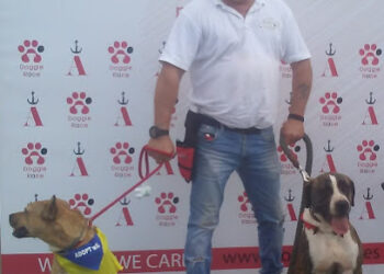 Balanced Dogs Mallorca Adiestramiento Canino