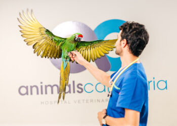 ANIMALS CANTABRIA | Hospital veterinario 24 horas