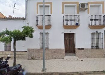 Numoi Labradores