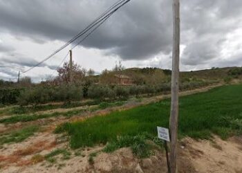 Mastines Españoles de Valdejera