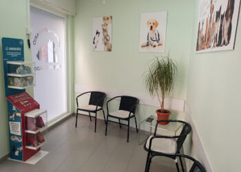 Centro Veterinario Jesús Rescatado