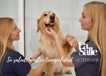 Veterinario La Salle