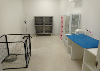 Centro Veterinario Huellitas