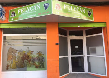 Clínica Veterinaria Felycan Campello