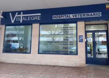 Hospital Veterinario Vistalegre – Burgos