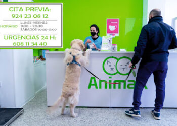 ANIMAX Clínica Veterinaria