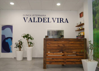 Clínica Veterinaria Valdelvira