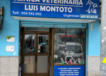 Clinica Veterinaria Luis Montoto