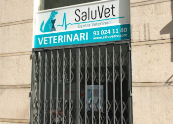 SaluVet Centro Veterinario