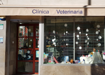 Clinica Veterinaria Cerro del Aguila