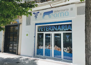 Veterinaria 𝐑𝐨𝐦𝐚 🐱🐶