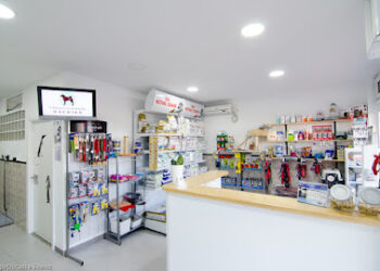 Hachiko Clinica Veterinaria