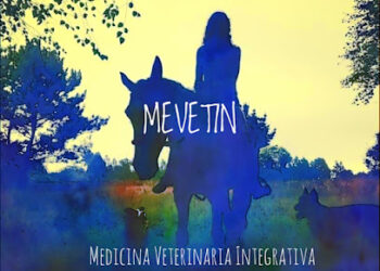 Mevetin