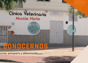 Clínica Veterinaria Murcia Norte